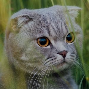 Meet your Posher, Anny